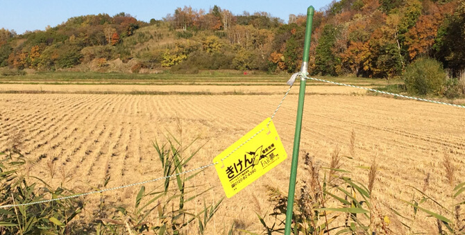 深まる秋の一日、石狩高岡走行記