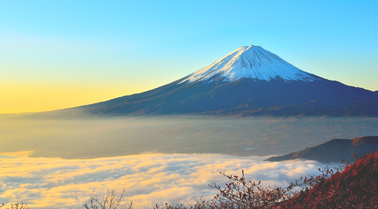 新年のご挨拶